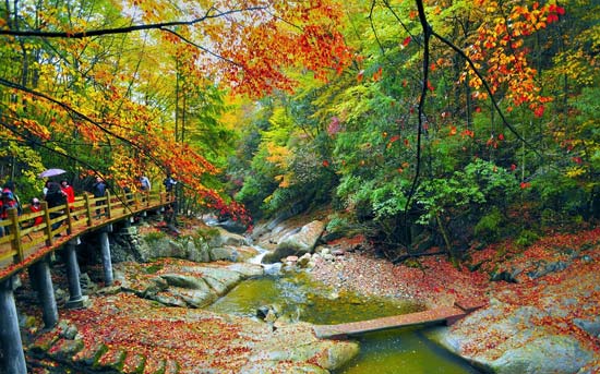 光雾山最佳旅游时间